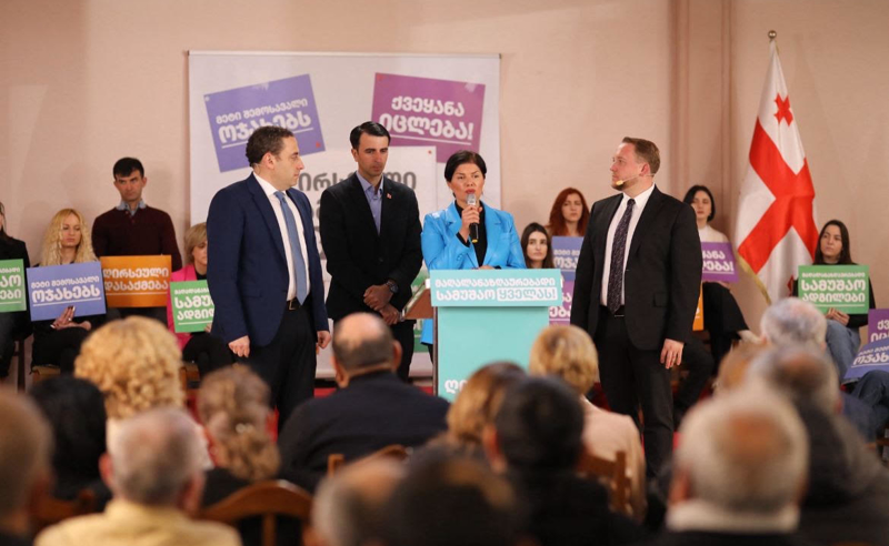 ივანიშვილის ელიტური კორუფციის გამო, ადამიანებს უწევთ საკუთარი ოჯახების დატოვება და ემიგრაციაში წასვლა -  ანო ბალიაშვილი