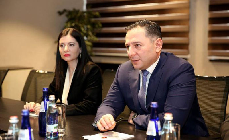 ნინო გიორგობიანი შსს-ში დაბრუნდა და გომელაურის მრჩევლად დაინიშნა