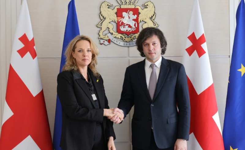 ირაკლი კობახიძე საქართველოში ისრაელის ელჩს ჰადას მეიცადს შეხვდა