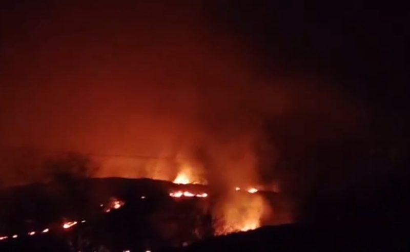 წალენჯიხაში ხანძარია - ცეცხლი ტყის მასივს უკიდია