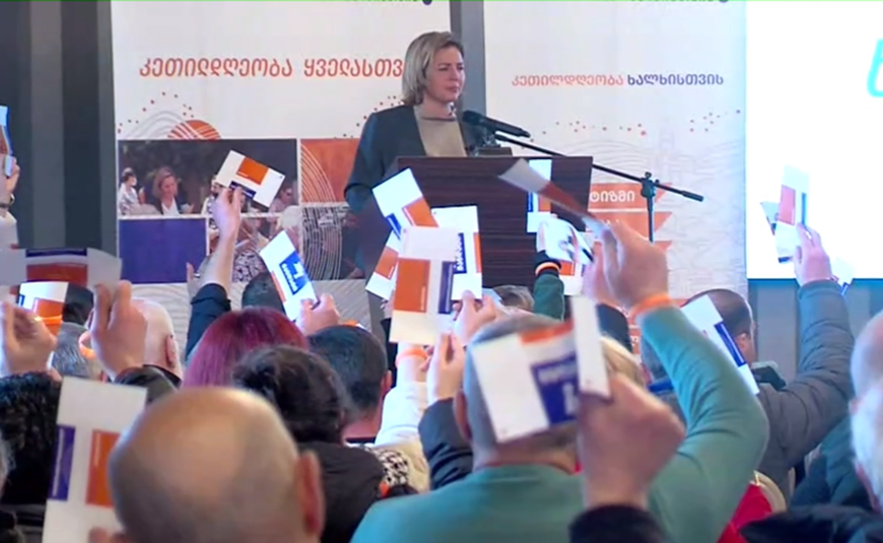 „ანა დოლიძე - ხალხისთვის“ საარჩევნოდ იწყებს მზადებას - პარტია ახალი გუნდით წარსდგა