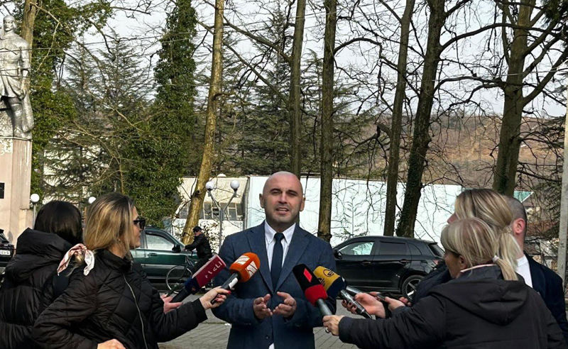 ივანიშვილს და მის პარტიას აინტერესებს მხოლოდ საკუთარი ჯიბის გასქელება - ხაბეიშვილი 