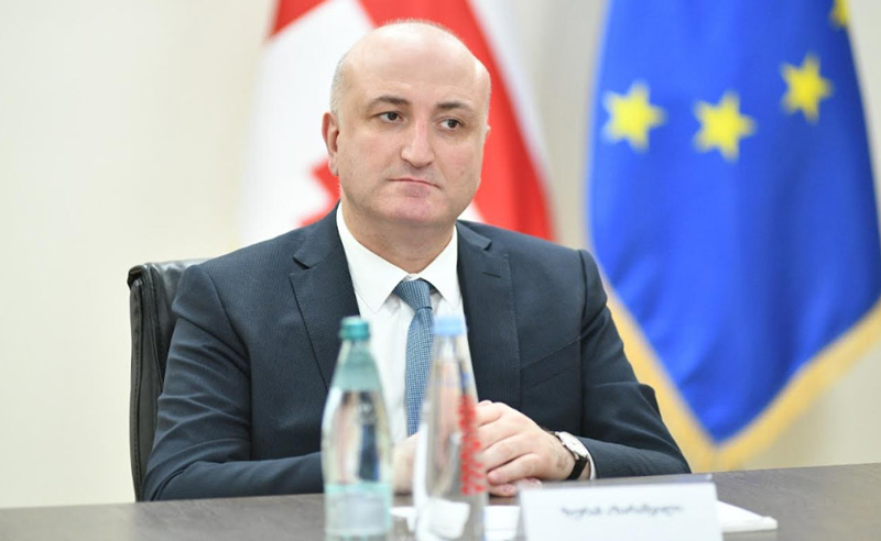 აზარაშვილი: მინიმუმ 60 ონკოლოგია ჩართული საეჭვო მედიკამენტების შემოტანის სქემაში
