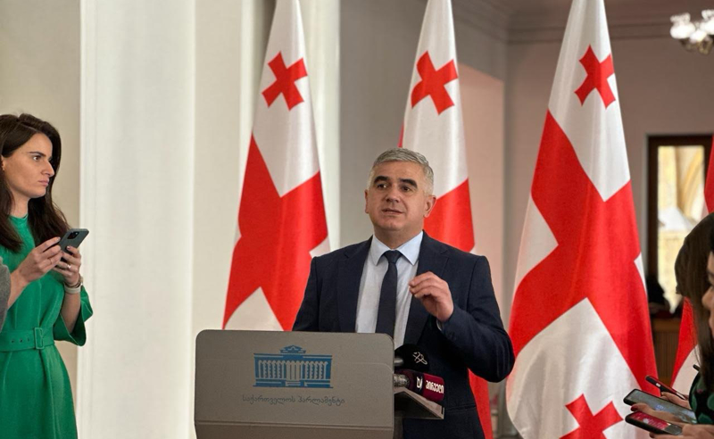 "ოცნების" კანონპროექტები მხოლოდ მათი ძალაუფლების შენარჩუნებას ემსახურება - გიორგი ბოტკოველი