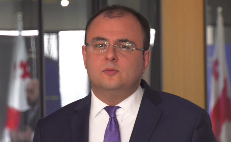 ამნისტია არ არის ერთი ხელის მოსმით გასაკეთებელი საკითხი - იუსტიციის მინისტრი