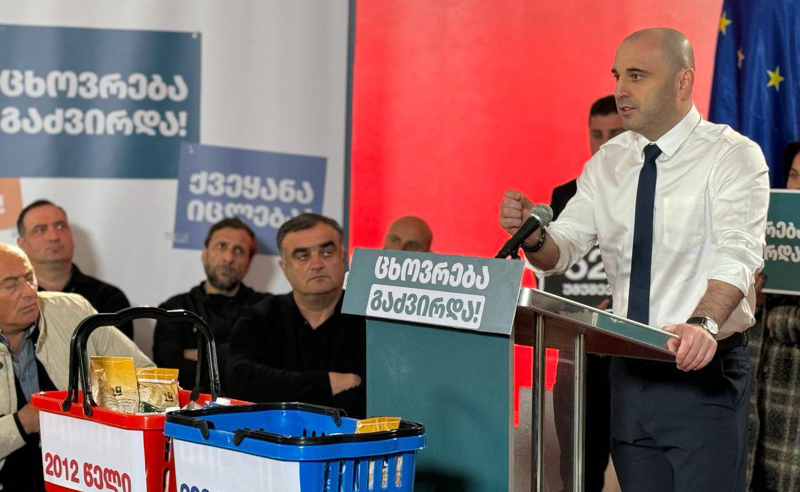 ივანიშვილმა ხალხს ცხოვრება გაუძვირა და მოქალაქეები ამას ყოველდღიურად გრძნობენ - ხაბეიშვილი