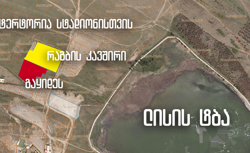 რაგბის სამი მოედნის ნაცვლად, ლისის ტბის პირას, ვილები აშენდება