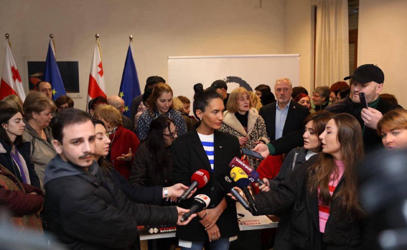 "უპრეცედენტო აქტივობაა" - სააკაშვილის გათავისუფლების მოთხოვნით ენმ ხელმოწერების შეგროვებას განაგრძობს
