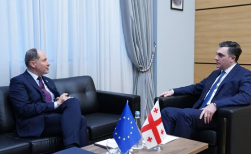 "ელჩებთან დაფიქსირდა, რომ ვართ შეშფოთებული" - მინისტრი EU-სა და გერმანიის ელჩების საგარეოში დაბარებაზე
