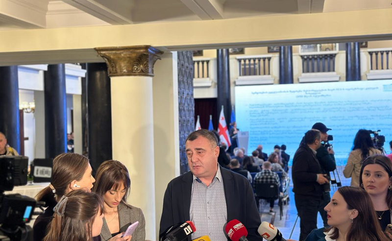 „ჯანდაცვის სამინისტრო სტრუქტურულად ისე არასწორად არის მოწყობილი, არანაირი აზრი არ ექნება ამ ეტაპზე ვინ იქნება მინისტრი“ - გიორგი გოდაბრელიძე