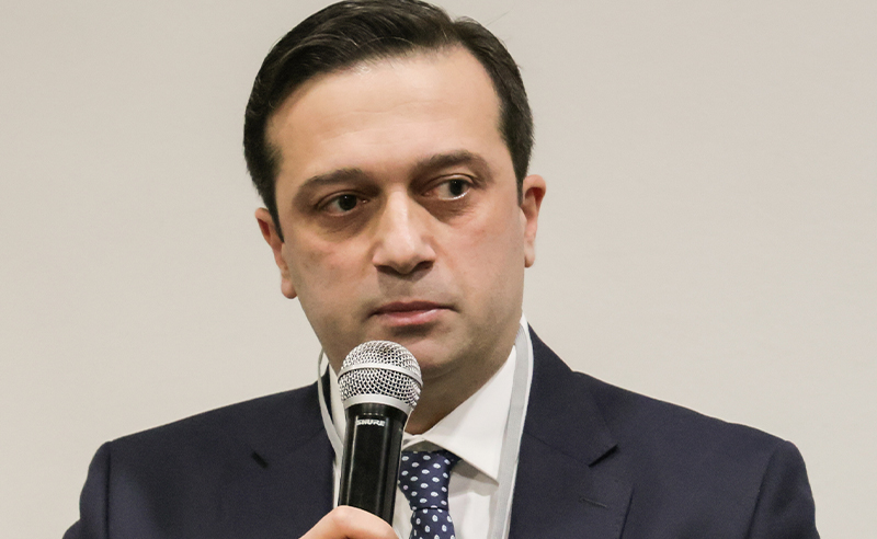 "ვეტინგი" კონსტიტუციასთან უნდა იყოს შესაბამისობაში - იოსელიანი