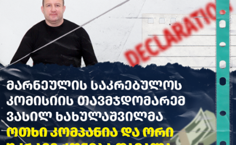 TI: მარნეულის მუნიციპალიტეტის საკრებულოს კომისიის თავმჯდომარე უძრავ ქონებასა და ბიზნეს საქმიანობას მალავს