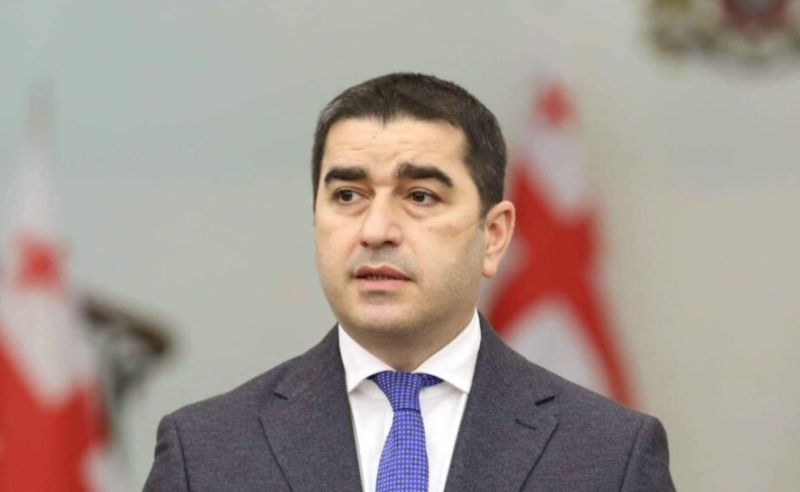 ცესკოს თავმჯდომარეზე წნეხი მიმდინარეობს - პაპუაშვილი