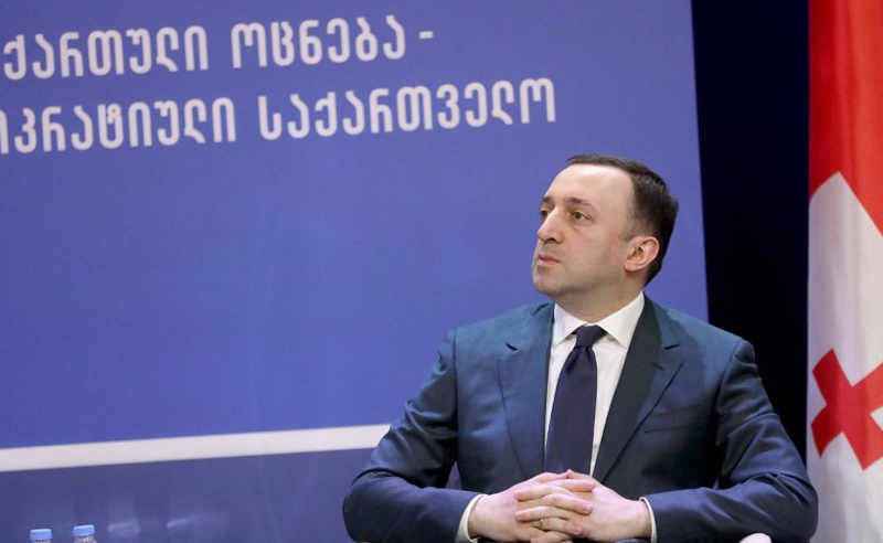 დიდი ამბავი, თუ მართლა შვებულებაში გავიდა - მდინარაძე ღარიბაშვილზე