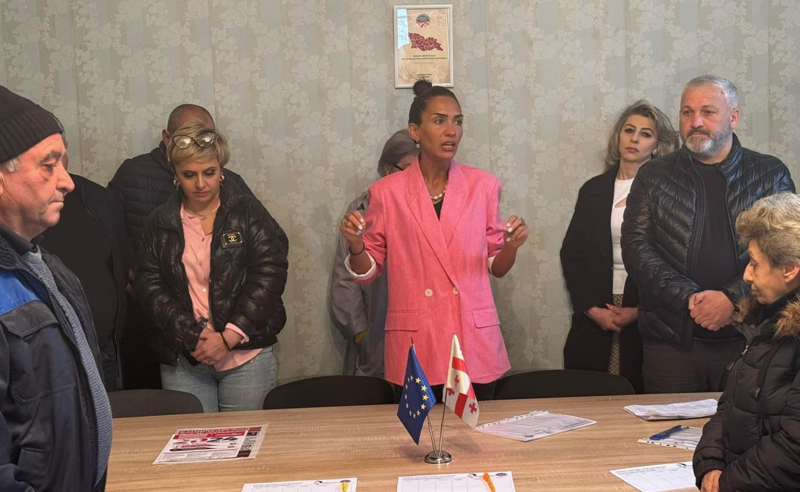 ზურაბიშვილმა ვალდებულება უნდა შეასრულოს და გაათავისუფლოს მიხეილ სააკაშვილი - სოფო ჯაფარიძე