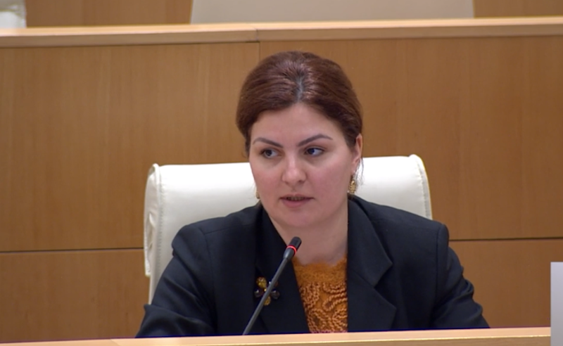  ნარკოდანაშაული, ქალთა მიმართ ძალადობა და შოვის ტრაგედია - ნაცვლიშვილის კითხვა გომელაურს