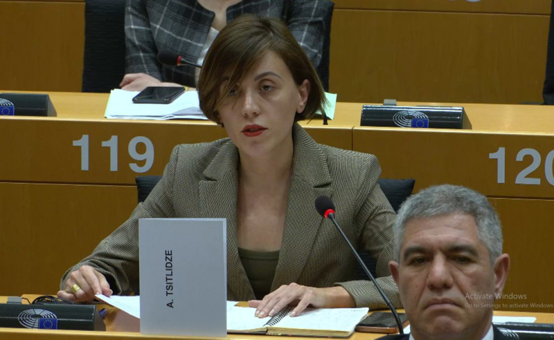 საქართველომ ქართველი ხალხის ბრძოლით კანდიდატის სტატუსი მიიღო და ამით ვამაყობ, არ ვამაყობ საქართველოს ხელისუფლებით, ოლიგარქიული სისტემით -წითლიძე