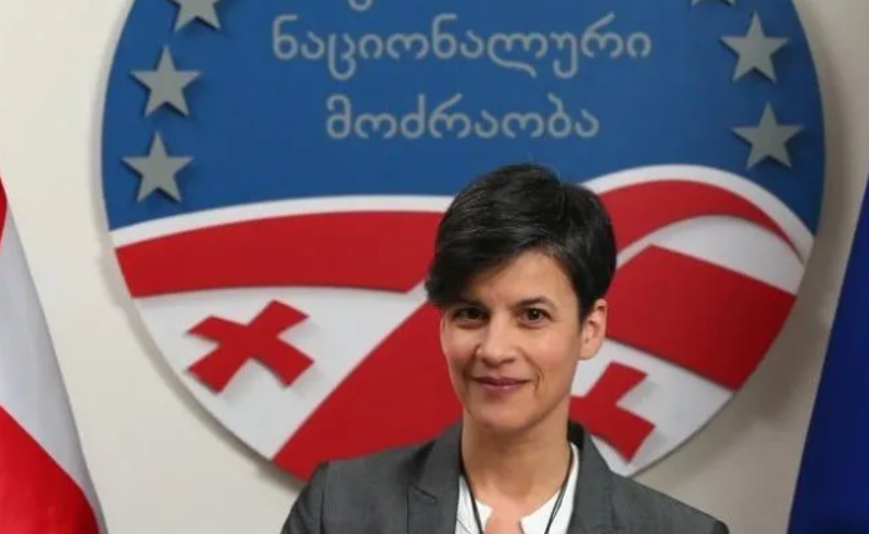 "ოცნება" ბაგა-ბაღებში ბავშვების კვების საკითხს საკუთარი გამდიდრების მიზნით იყენებს - დეპუტატი