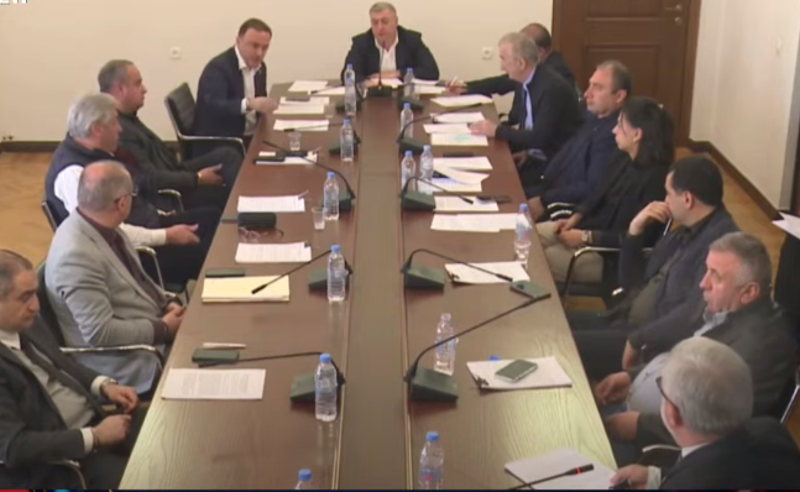 დელეგატები მაჟორიტარების ნაცვლად - ხმაური რეგიონული კომიტეტის სხდომაზე