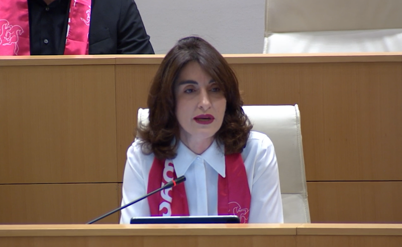 რატომ არის უცხოელობა ის ერთადერთი კრიტერიუმი, რომელიც ვინმეს უფლებას აძლევს ქართველ მოსამართლეს კეთილსინდისიერება დაუწუნოს - ბოჭორიშვილი