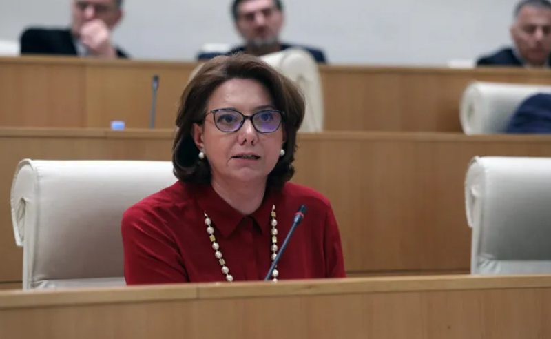 "საქართველო იქცევა ჩვეულებრივ ოლიგარქატად, სადაც საპარლამენტო ადგილებს მხოლოდ ყიდულობენ" - სამადაშვილი