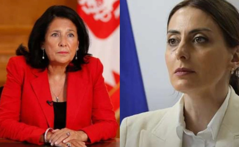 რუსული კანონის შემობრუნება, ქალებზე თავდასხმა - რა საკითხებზე იმსჯელეს პრეზიდენტთან 
