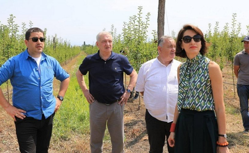 რუსული კანონის ხელახალი ინიცირება - "ოცნების" ახალი რიტორიკა და ისრების გადატანა მესამე სექტორზე