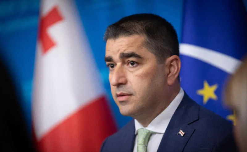 მოგვატყუეს, შარშან, დაგვპირდნენ, რომ უცხოური დაფინანსება გამჭვირვალე იქნებოდა - პაპუაშვილი