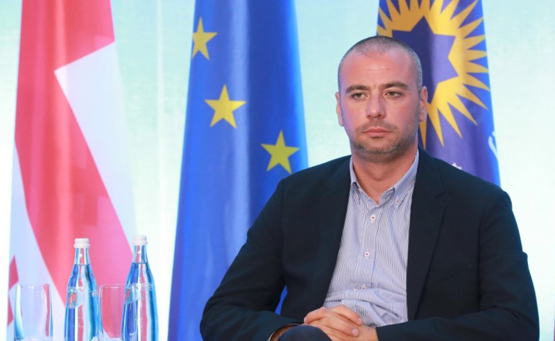 ვინ შეცვლის პარლამენტში ირაკლი ბერაიას?