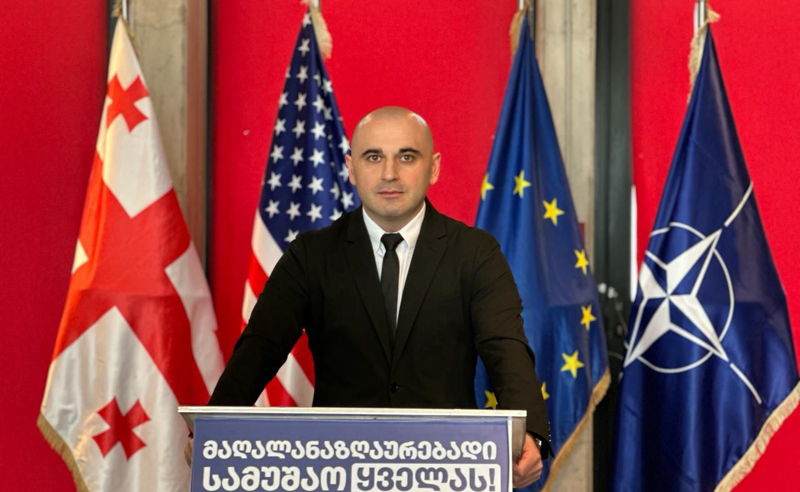 პარტიულ აქტივისტს როცა ნიშნავენ, ნიშნავს, რომ არ აღელვებთ სახელმწიფოს ინტერესები - ხაბეიშვილი