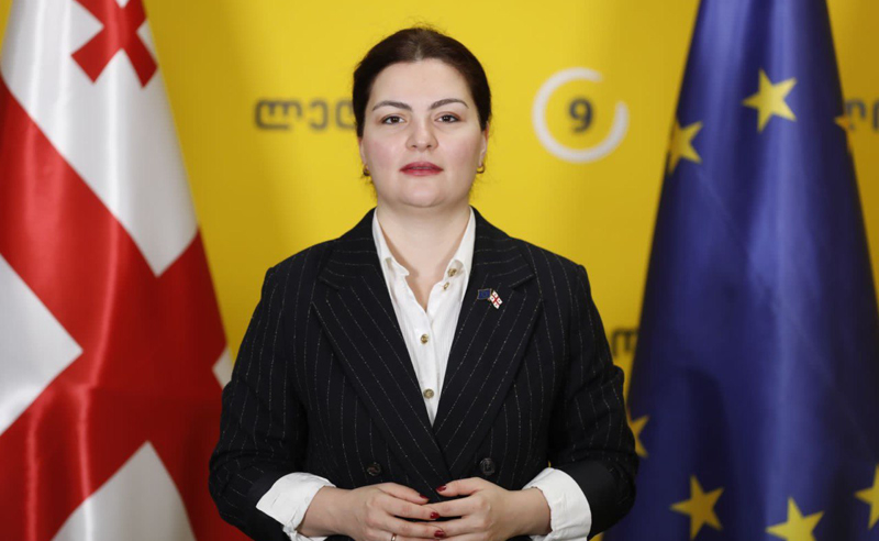 ან იქნება რუსული კანონი ან საქართველო გახდება ევროკავშირის წევრი - ანა ნაცვლიშვილი 
