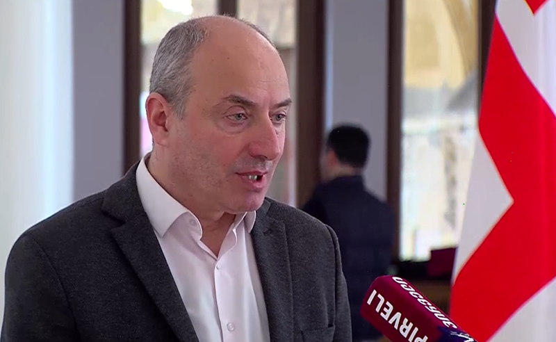 ოპოზიციის გაუკუღმართებული აზროვნებით სუვერენიტეტი მხოლოდ რუსეთისგან დამოუკიდებლობას ნიშნავს - მაჭარაშილი