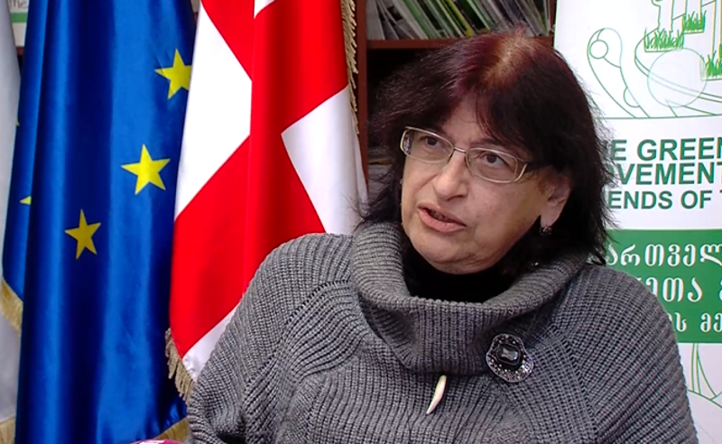 ნაგავმზიდი ვიყიდეთ, ანუ გავატარე იაპონიის ინტერესები მცხეთის მუნიციპალიტეტში? - ჩხობაძე რუსულ კანონზე