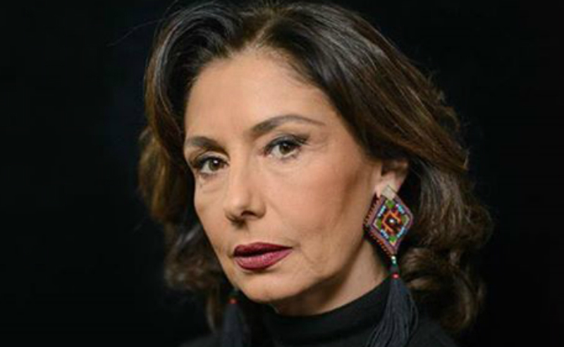 ვშიშობ, რომ ეს კანონი ჩვენს მეგობარ ქვეყნებს აზრს შეუცვლის ჩვენს ქვეყანაზე - ნინო სუხიშვილი