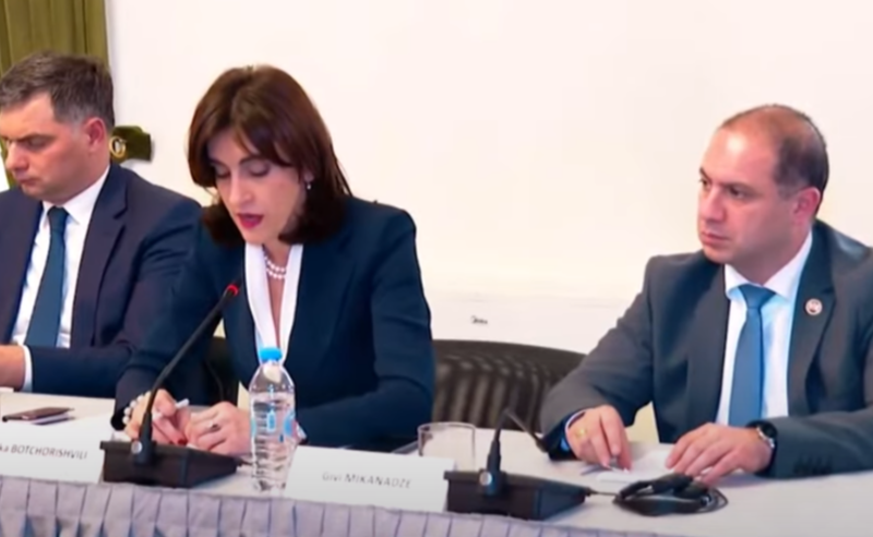 რუსული კანონის გამო "ოცნებას" EU-ს დელეგაციასთან თავის მართლება მოუწია - რაზე ისაუბრეს შეხვედრაზე?