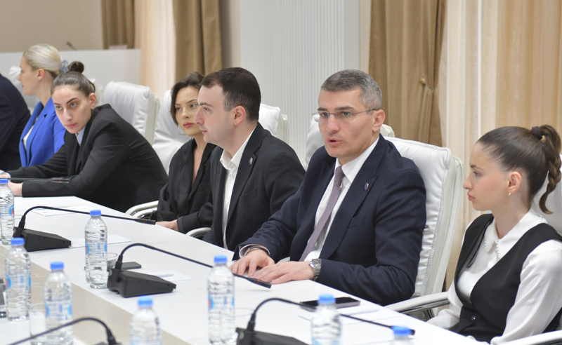 მდინარაძე რუსული კანონის პუნქტზე: სიტყვა „მინიშნება“ შეიცვლება სიტყვა „ინფორმაციით“