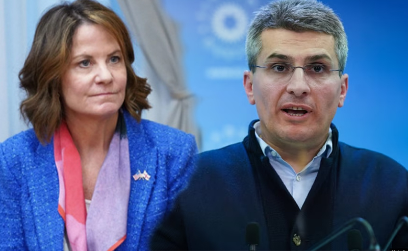 თუკი მეგობრები გვეტყვიან, ქართულად აღარ ილაპარაკოთ, ქართულად ლაპარაკი უნდა შევწყვიტოთ? - მდინარაძე