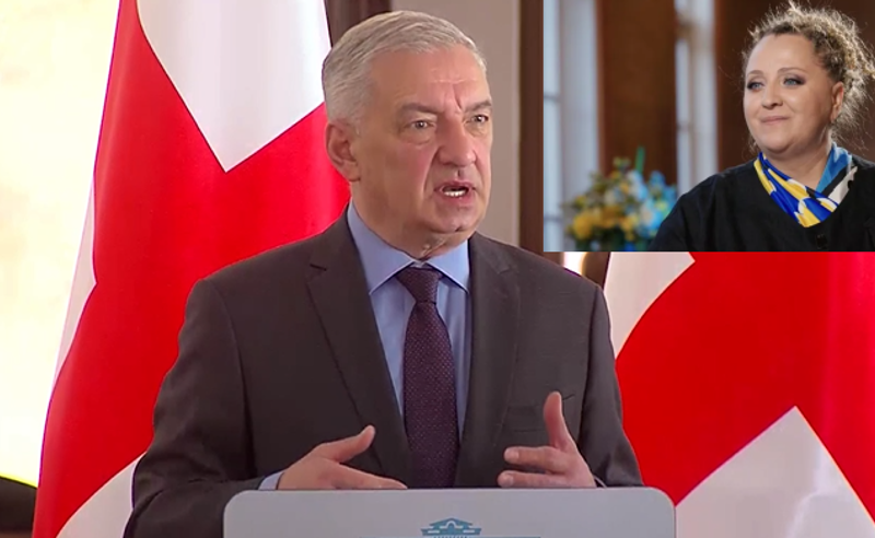 ვოლსკი ნინო ქათამაძეზე: ასრულებს კონკრეტულ დავალებას, ამბობს სისულელეს