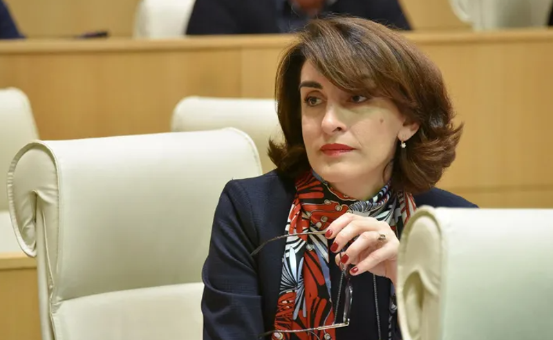 "თარჯიმანი თარგმანში იკარგება", "შოლცი არის სოციალისტი“ - რა შეფასებები მოჰყვა შოლცის გზავნილებს "ოცნებაში"