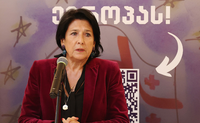 მე არ შევცვლილვარ, შეიცვალა მთავრობა, "ოცნება" - პრეზიდენტი 