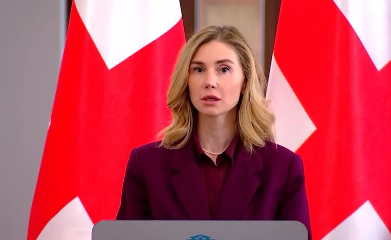 რუსული კანონის მიღება ქვეყნის ინტერესების ღალატია - თინა ბოკუჩავა