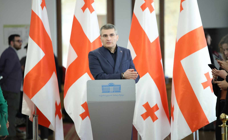 "დონორს აღარ მოუნდება დაფინანსება" - მდინარაძის აღიარება