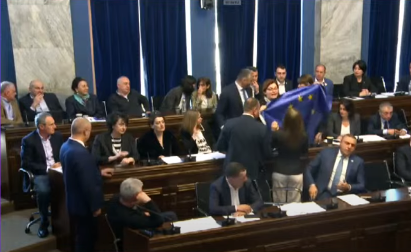 ანა ნაცვლიშვილი და ხატია დეკანოიძე კომიტეტის სხდომიდან აძევებენ