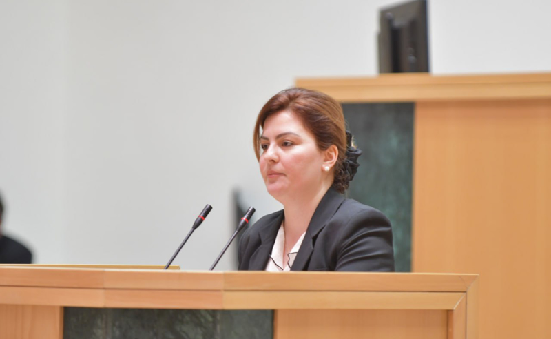 არცერთ ხელისუფლებას ხალხმა არ შეარჩინა საკუთარი ხალხის წინააღმდეგ მოღერებული ხელი - ნაცვლიშვილი
