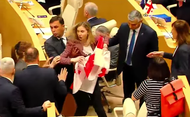 ხმაური პარლამენტში - თინა ბოკუჩავას დროშის გაშლის საშუალება არ მისცეს და დარბაზიდან გააძევეს