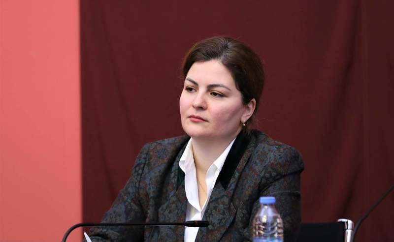 რუსული კანონის პირველი მოსმენით დამტკიცებით, "ოცნებამ" ევროპას არა უთხრა - ნაცვლიშვილი