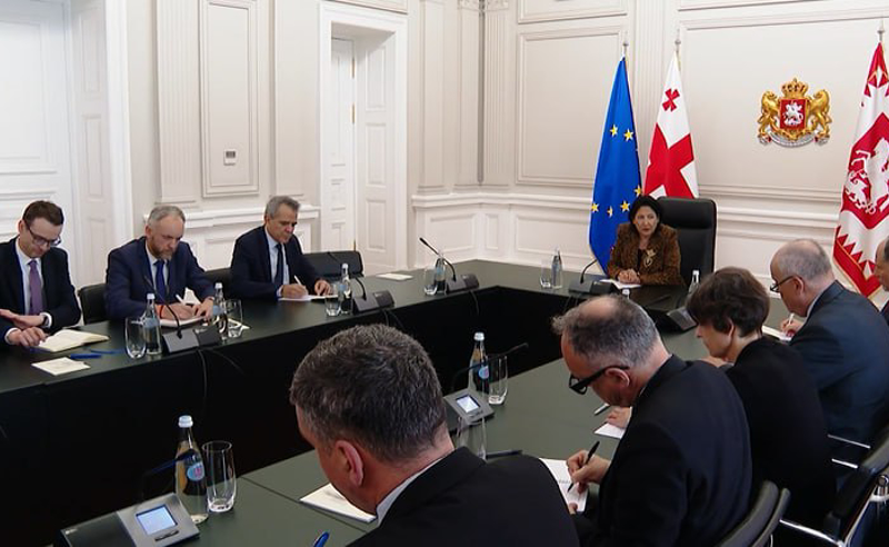 ელჩების შეხვედრა პრეზიდენტთან - რაზე ისაუბრეს?