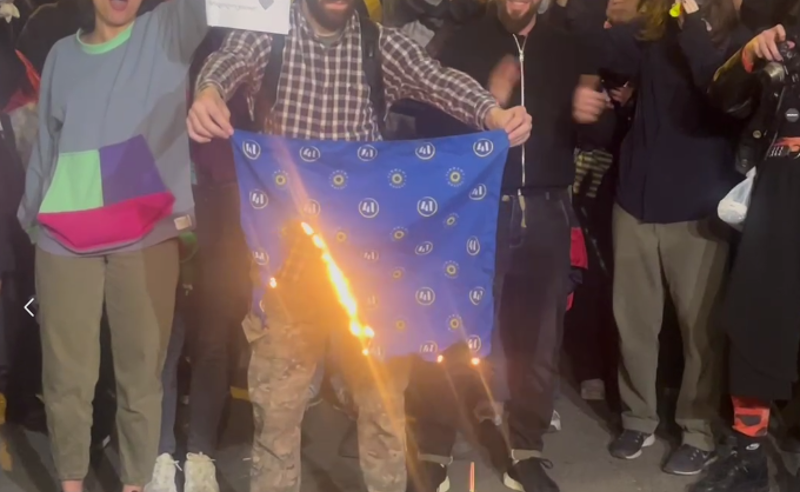 ახალგაზრდებმა კანცელარიასთან "ქართული ოცნების" დროშა დაწვეს (ვიდეო)