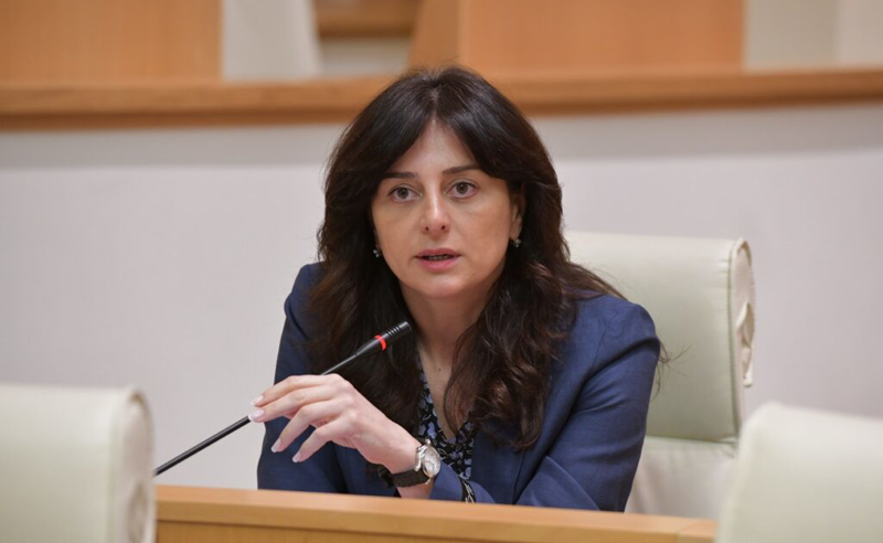 მაია ბითაძე ამტკიცებს, რომ დასავლეთს საქართველოში რევოლუციის მოწყობა უნდა
