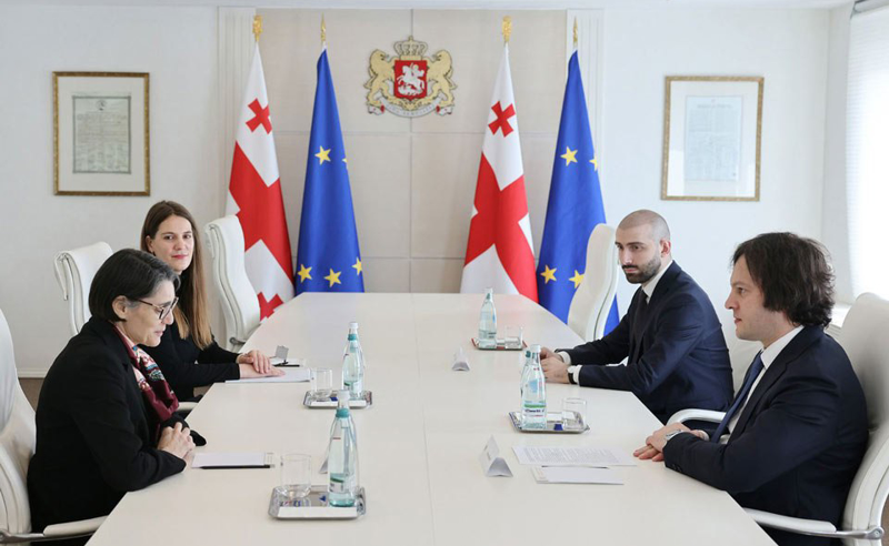 კობახიძე საქართველოში ევროკავშირის სადამკვირვებლო მისიის ხელმძღვანელს შეხვდა - რაზე ისაუბრეს მხარეებმა